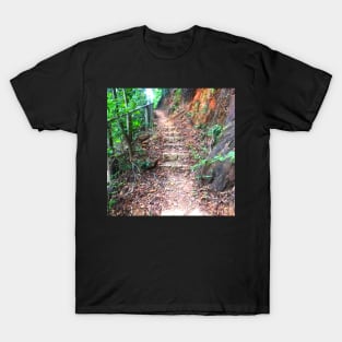 Rocky Stairway of Light T-Shirt